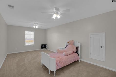 218 Wading Bird Loop Blythewood SC 29016