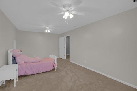 218 Wading Bird Loop Blythewood SC 29016