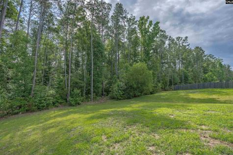 218 Wading Bird Loop Blythewood SC 29016