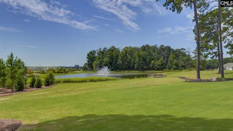 193 Ruby Prince Road Gilbert SC 29054