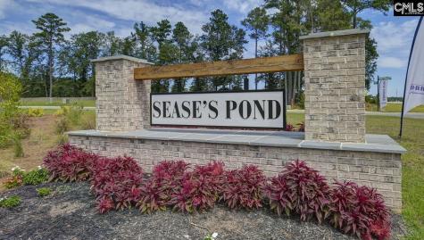 193 Ruby Prince Road Gilbert SC 29054