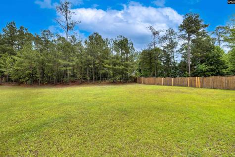 178 Vermillion Drive Columbia SC 29209