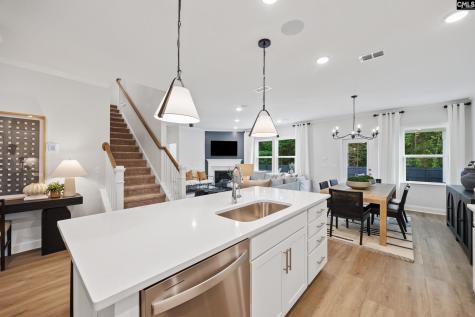 385 Mont Haven Place Lexington SC 29072