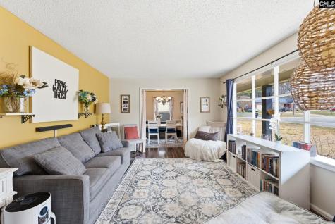 301 Duchess Trail Lexington SC 29073