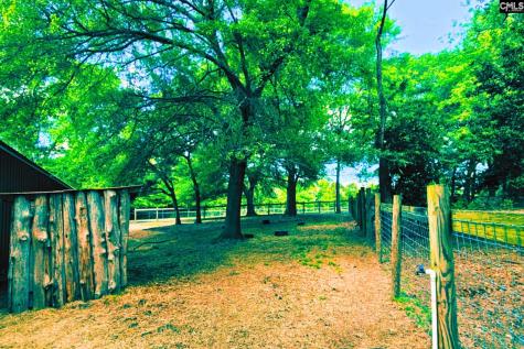 360 Twisting Road Lexington SC 29072