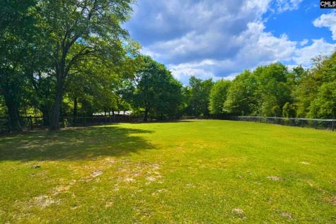 360 Twisting Road Lexington SC 29072