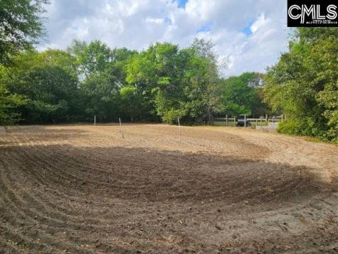 360 Twisting Road Lexington SC 29072