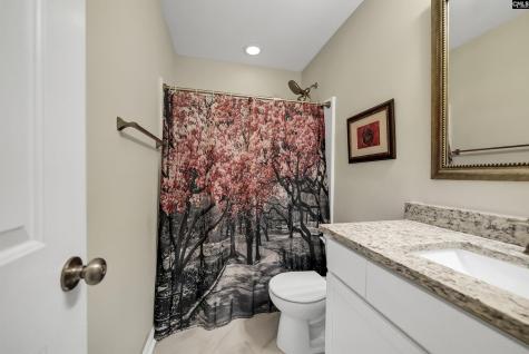 125 Misty Dew Lane Lexington SC 29072-8721