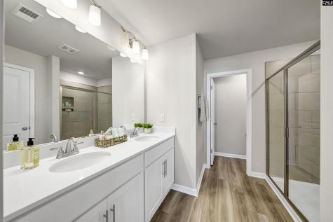 208 Carillo Drive Columbia SC 29223