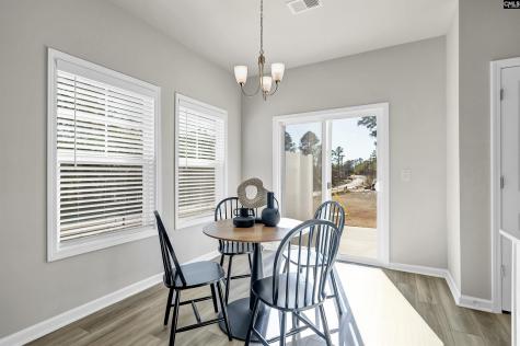 208 Carillo Drive Columbia SC 29223