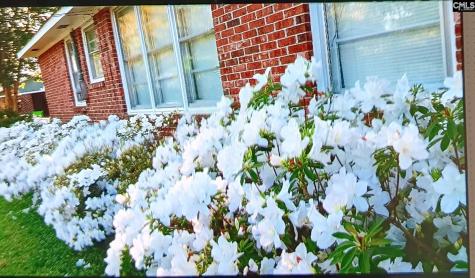 1515 Rushmore Road Columbia SC 29210