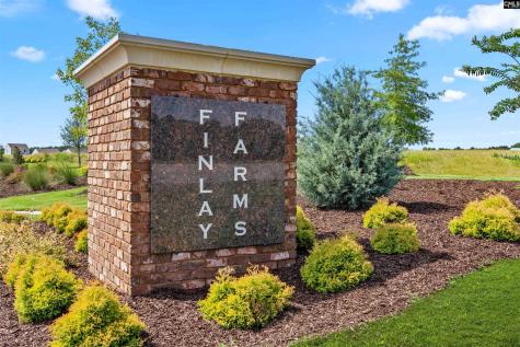 1860 Wild Rice Road Gilbert SC 29054