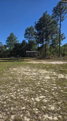 252 Edinfield Gaston SC 29053-8417