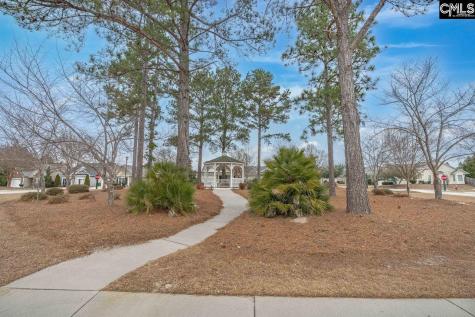 306 Golden Ingot Lane Columbia SC 29229