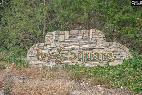 306 Golden Ingot Lane Columbia SC 29229