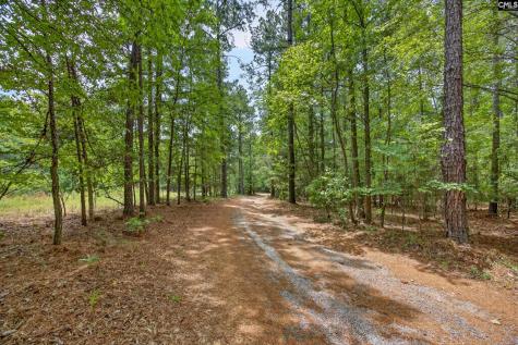 1511 Wateree Dam Road Ridgeway SC 29130