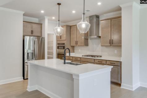 473 Rainbow Shad Way Lexington SC 29072