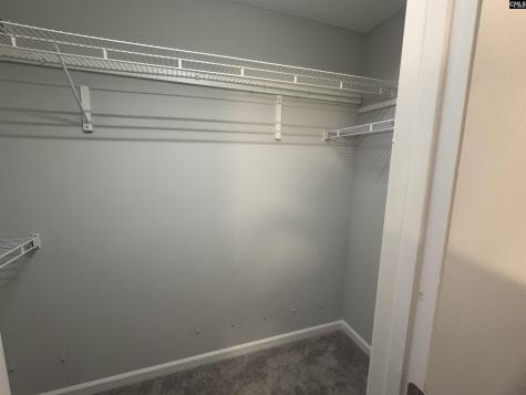 17 Bradstone Circle Irmo SC 29063