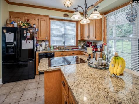 1646 Ginkgo Trail Ridgeway SC 29130
