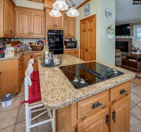1646 Ginkgo Trail Ridgeway SC 29130