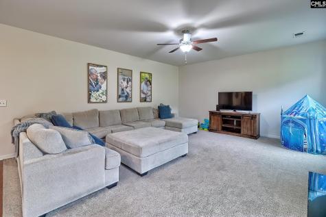 748 Spring Cress Drive Lexington SC 29073