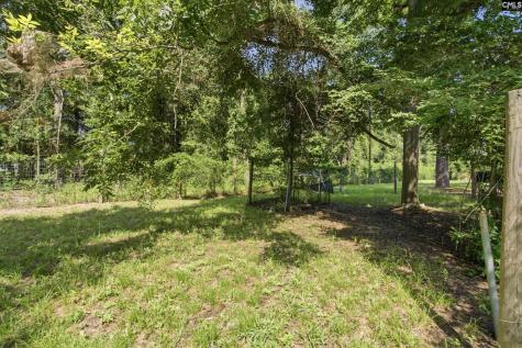 207 Dolly Street Columbia SC 29223