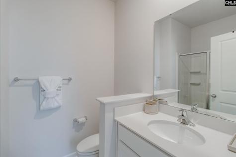 702 Autumn Shiloh Drive Chapin SC 29036