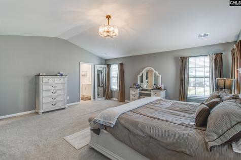 702 Autumn Shiloh Drive Chapin SC 29036
