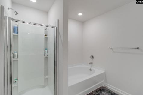 702 Autumn Shiloh Drive Chapin SC 29036