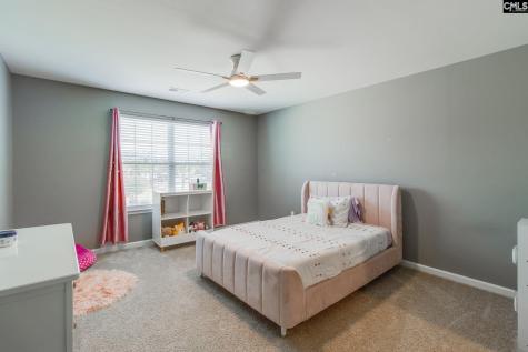 702 Autumn Shiloh Drive Chapin SC 29036