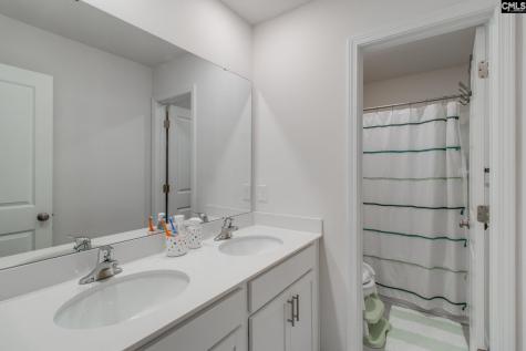 702 Autumn Shiloh Drive Chapin SC 29036