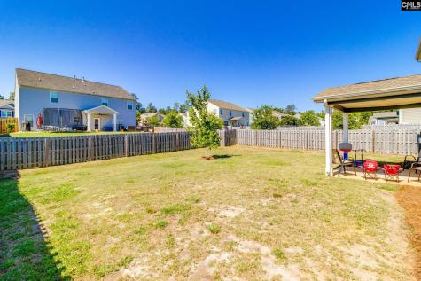 702 Autumn Shiloh Drive Chapin SC 29036