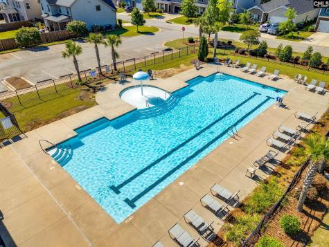 702 Autumn Shiloh Drive Chapin SC 29036