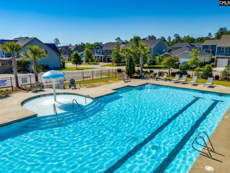702 Autumn Shiloh Drive Chapin SC 29036