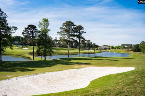 725 Coriander Road Blythewood SC 29016