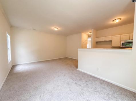 149 Angel Garden Way Columbia SC 29223
