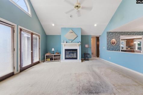 225 Copper Lane Lexington SC 29072-8095