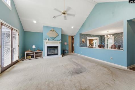 225 Copper Lane Lexington SC 29072-8095