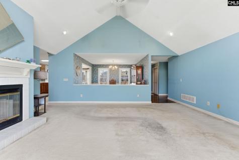 225 Copper Lane Lexington SC 29072-8095