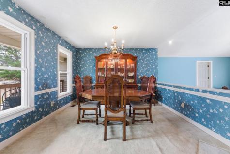 225 Copper Lane Lexington SC 29072-8095