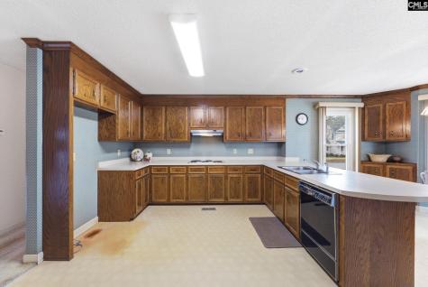 225 Copper Lane Lexington SC 29072-8095