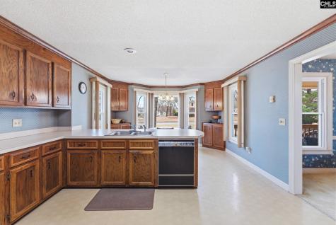 225 Copper Lane Lexington SC 29072-8095