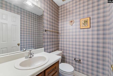 225 Copper Lane Lexington SC 29072-8095