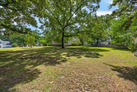 225 Copper Lane Lexington SC 29072-8095