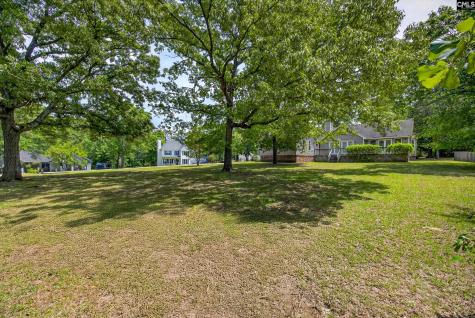 225 Copper Lane Lexington SC 29072-8095