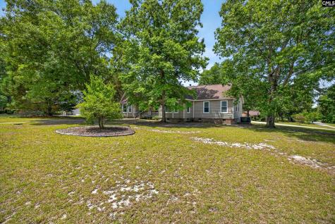 225 Copper Lane Lexington SC 29072-8095