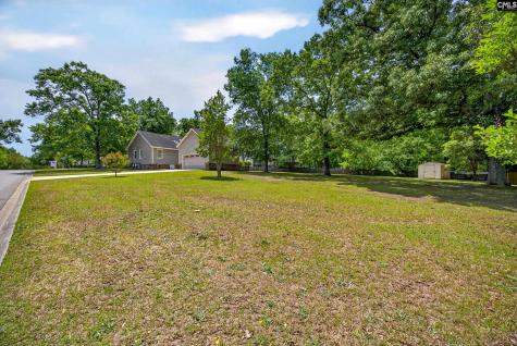 225 Copper Lane Lexington SC 29072-8095