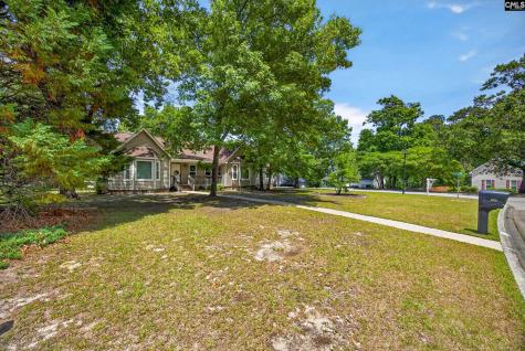 225 Copper Lane Lexington SC 29072-8095
