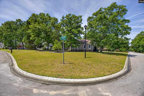 225 Copper Lane Lexington SC 29072-8095