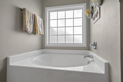 203 Pegonia Lane Blythewood SC 29016